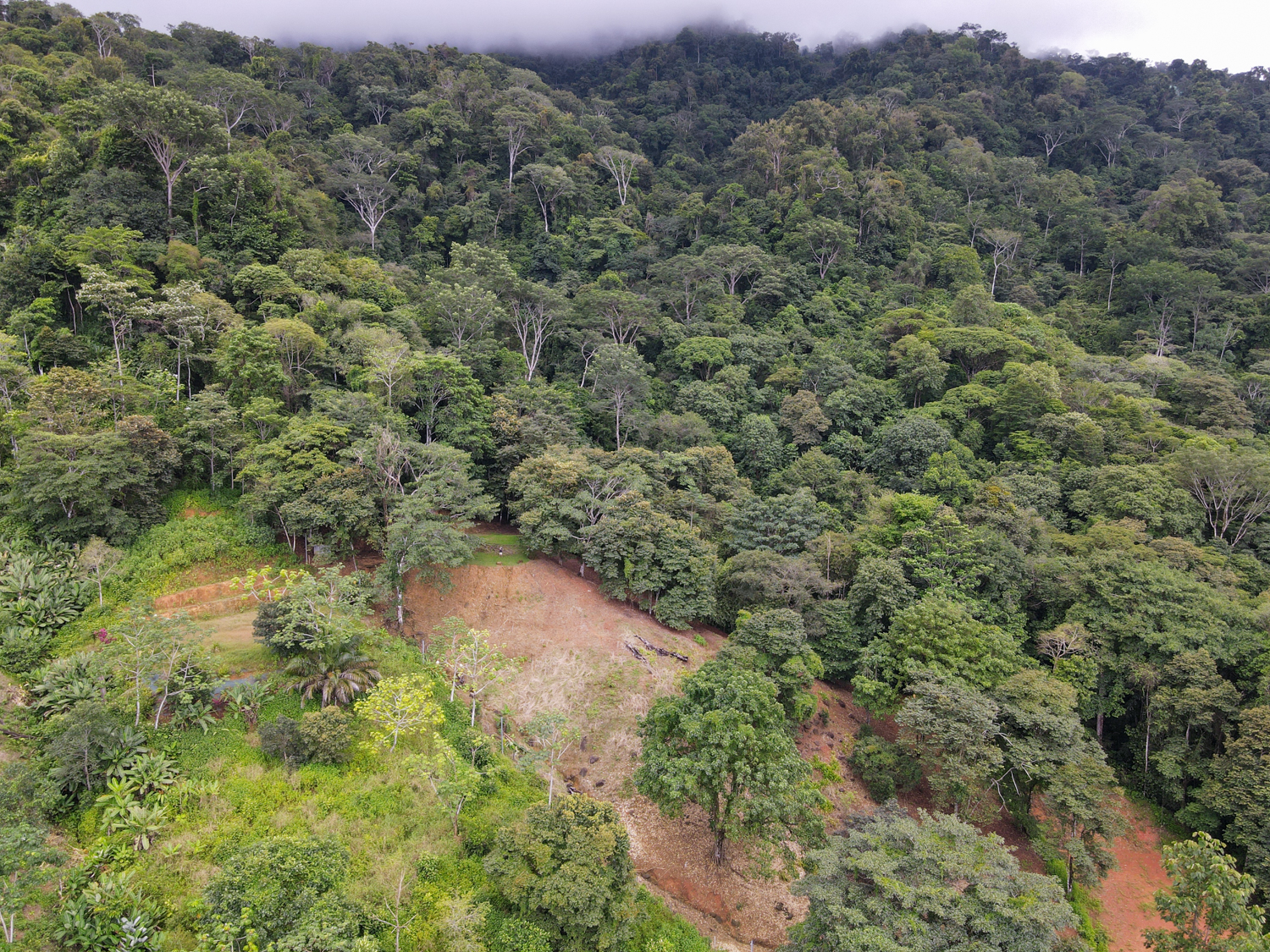 0 bed Land For Sale in Ojochal, Puntarenas - thumb 12