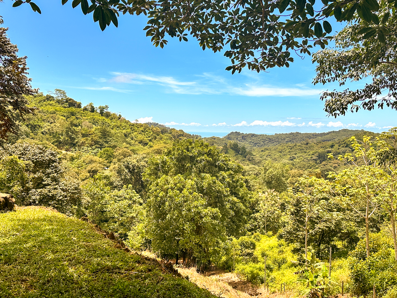 0 bed Land For Sale in Ojochal, Puntarenas - thumb 5