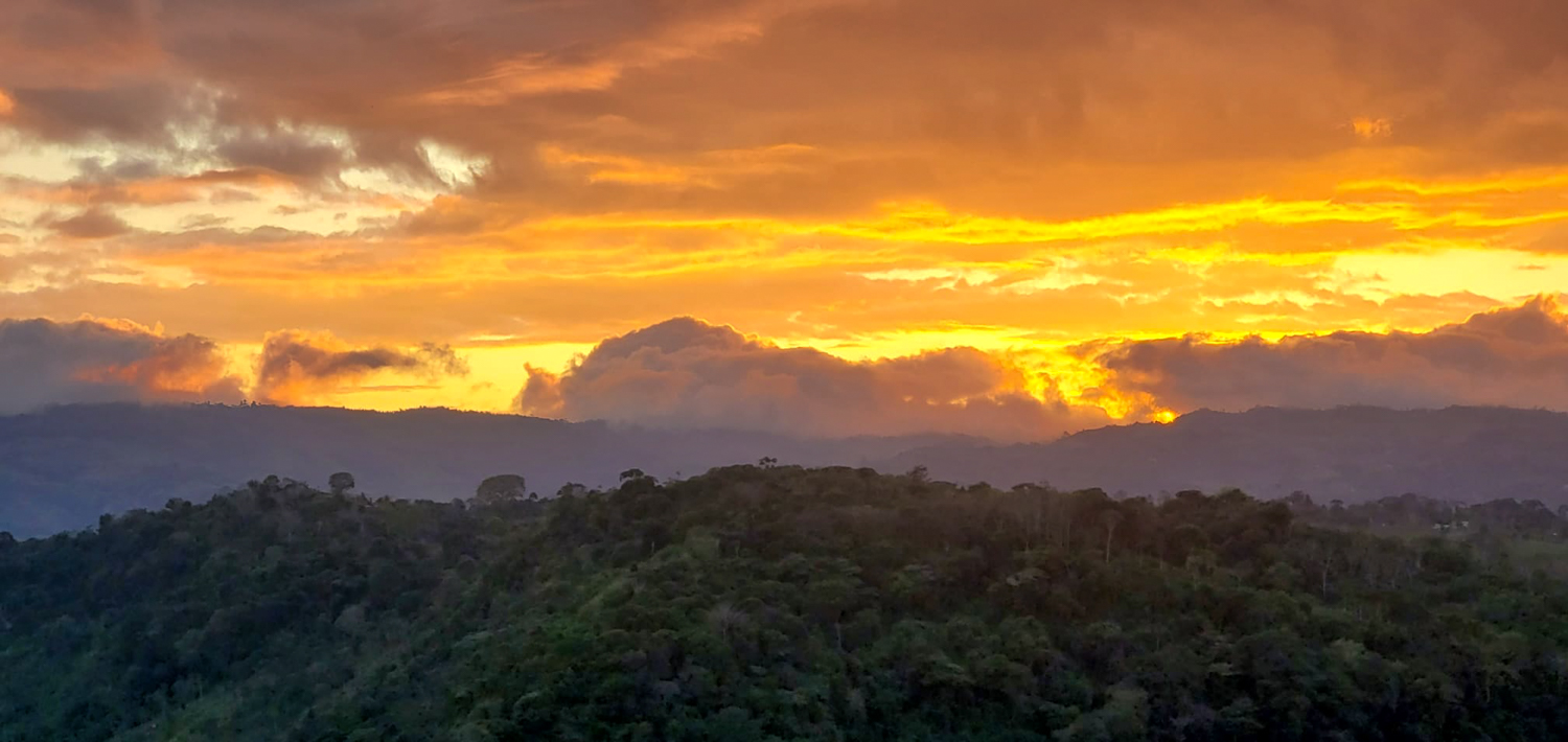 0 bed Land For Sale in Ojochal, Puntarenas - thumb 6