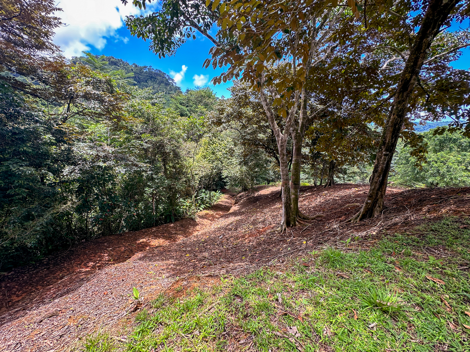 0 bed Land For Sale in Ojochal, Puntarenas - thumb 24