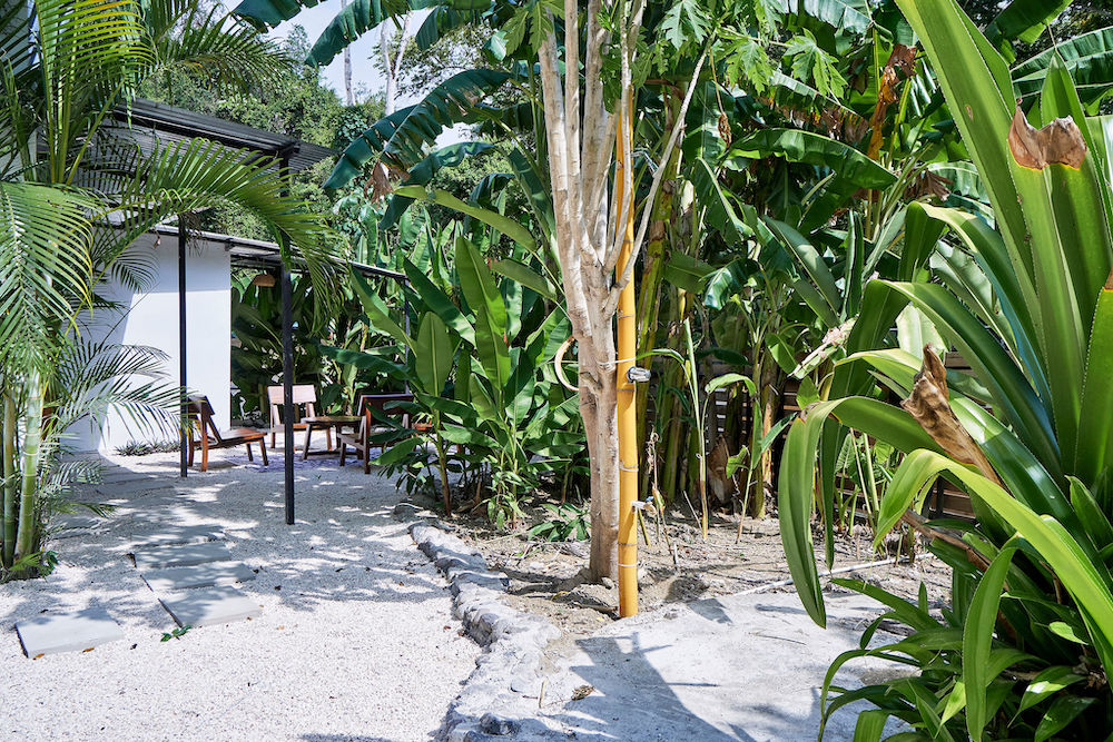3 bed Apartment For Sale in Santa Teresa, Puntarenas - thumb 15