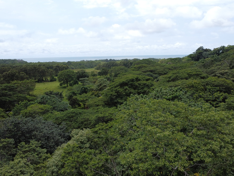 0 bed Land For Sale in Playa Coyote, Guanacaste - 1