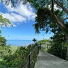  - LUXURY RAINFOREST ESTATE WITH OCEAN VIEWS - 20 MINUTES TO JACO