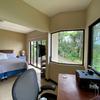  - LUXURY RAINFOREST ESTATE WITH OCEAN VIEWS - 20 MINUTES TO JACO