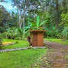  - Riverside Jungle House for Sale near Playa Ventanas