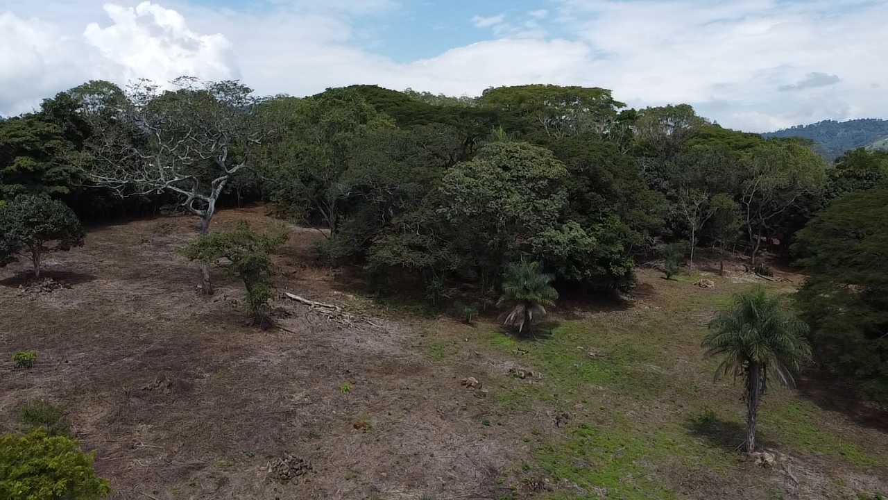 0 bed Land For Sale in Atenas, Alajuela - thumb 16