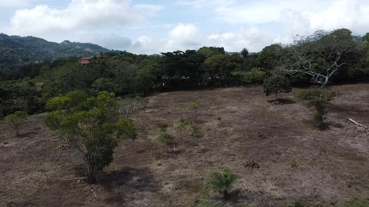 0 bed Land For Sale in Atenas, Alajuela - thumb 17