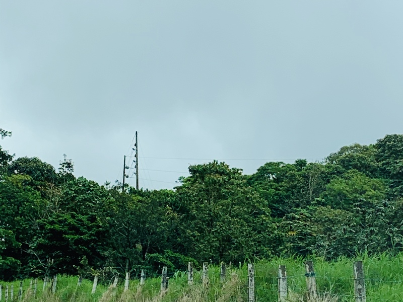 0 bed Land For Sale in Sarchi, Alajuela - 1