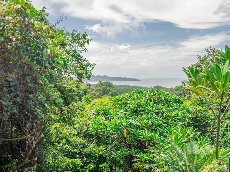 0 bed Land For Sale in Nosara, Guanacaste - 1