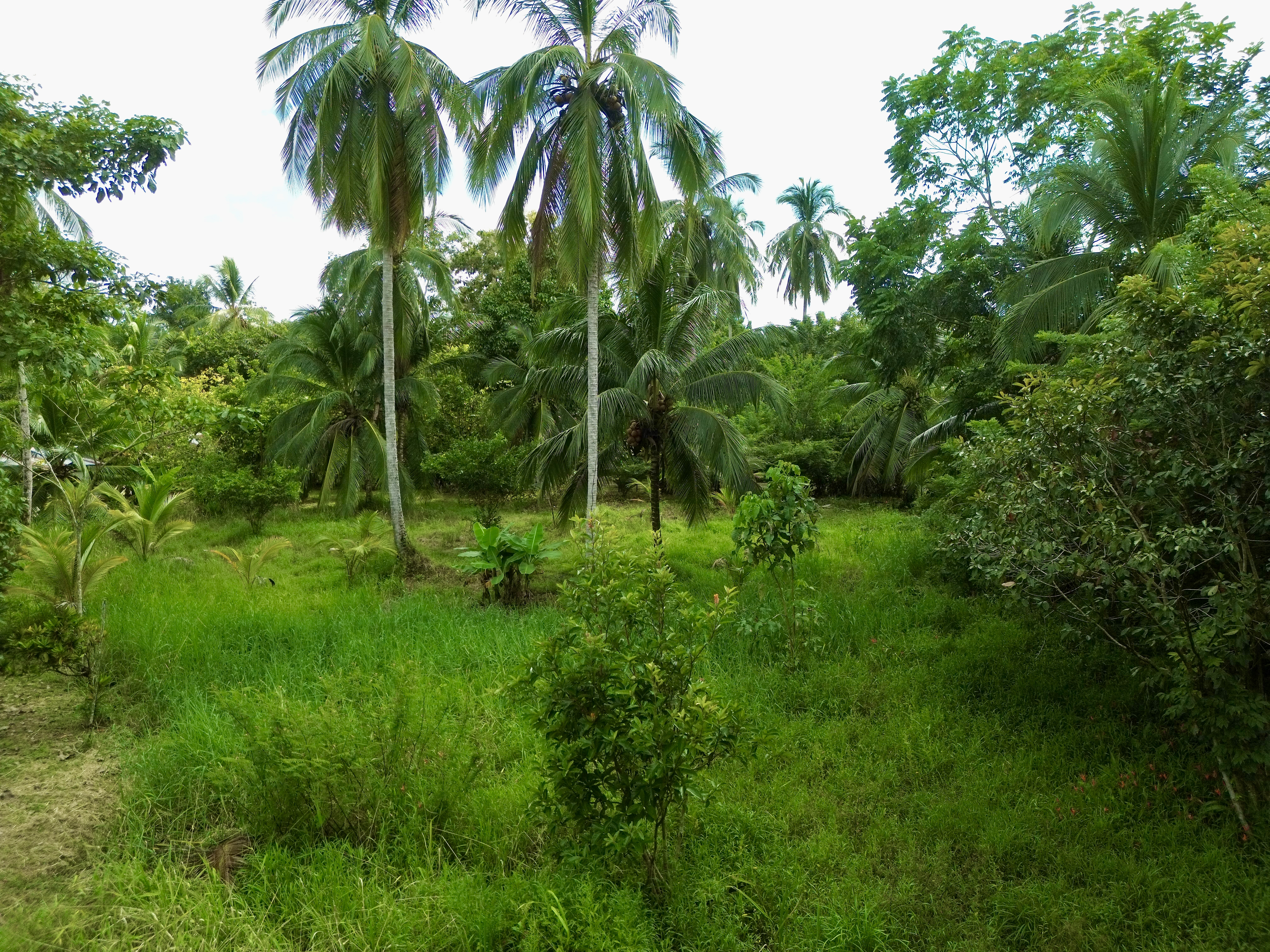 Featured property image