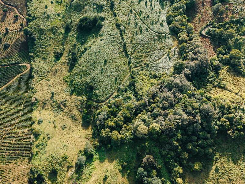 0 bed Land For Sale in Dota, San Jose - 1