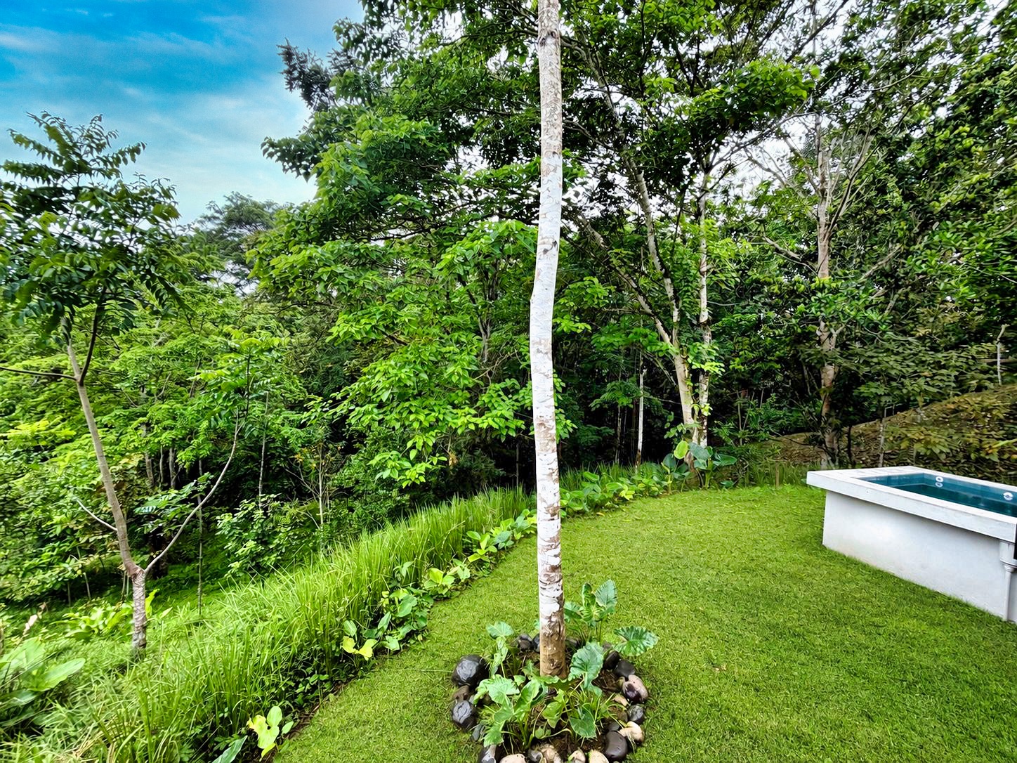 3 bed Single Family Homes For Sale in Puerto Viejo, Limón - thumb 11