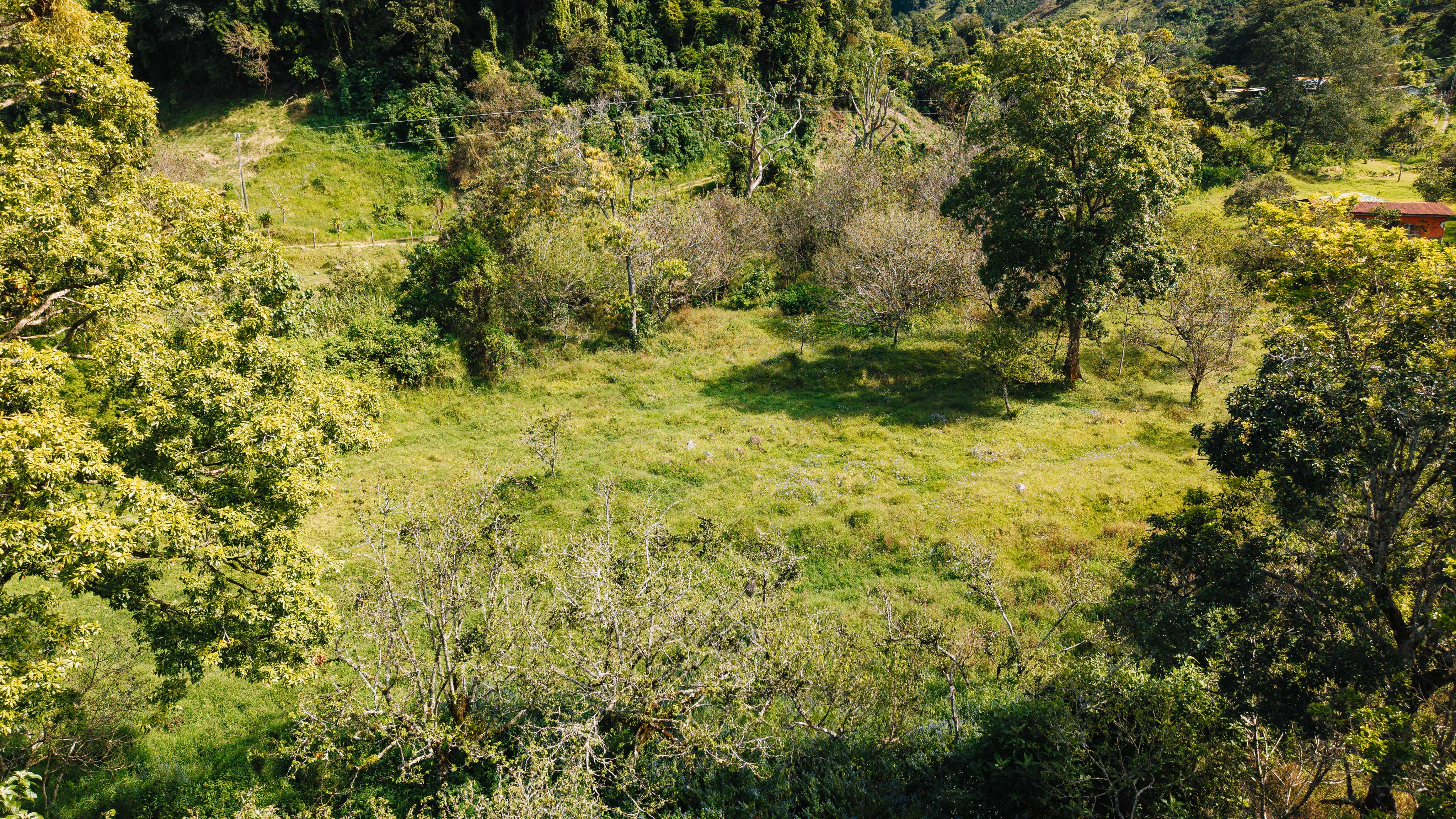 0 bed Land For Sale in Dota, San Jose - thumb 18