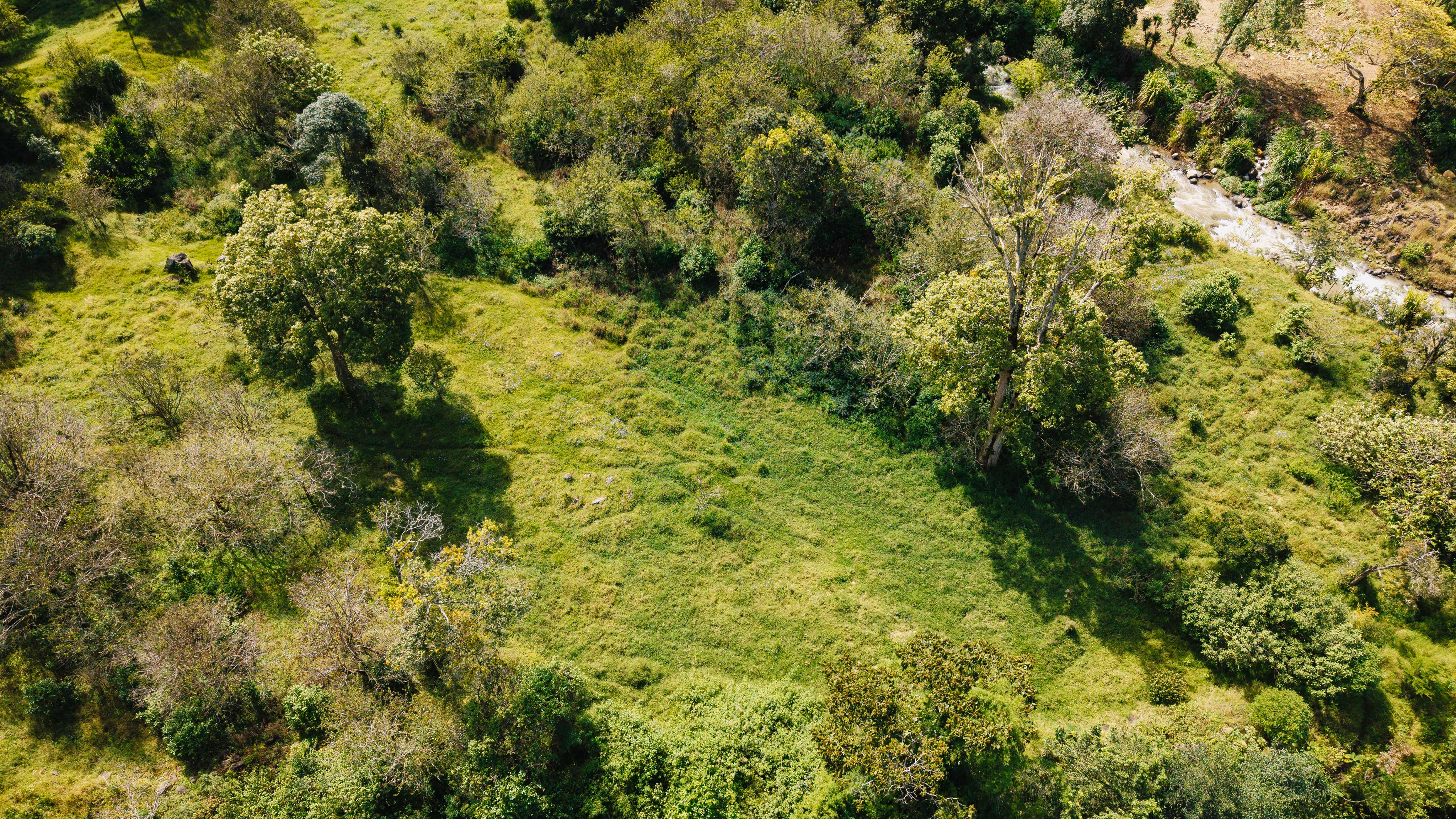 0 bed Land For Sale in Dota, San Jose - thumb 19