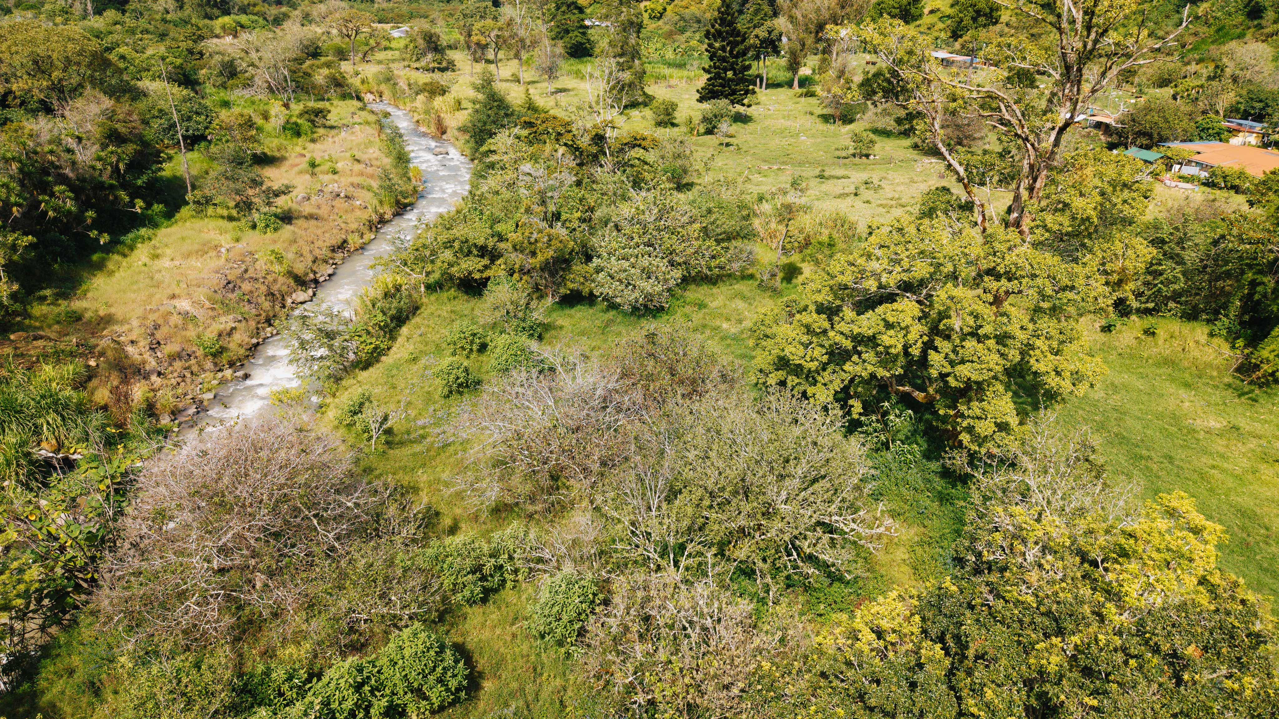 0 bed Land For Sale in Dota, San Jose - thumb 13