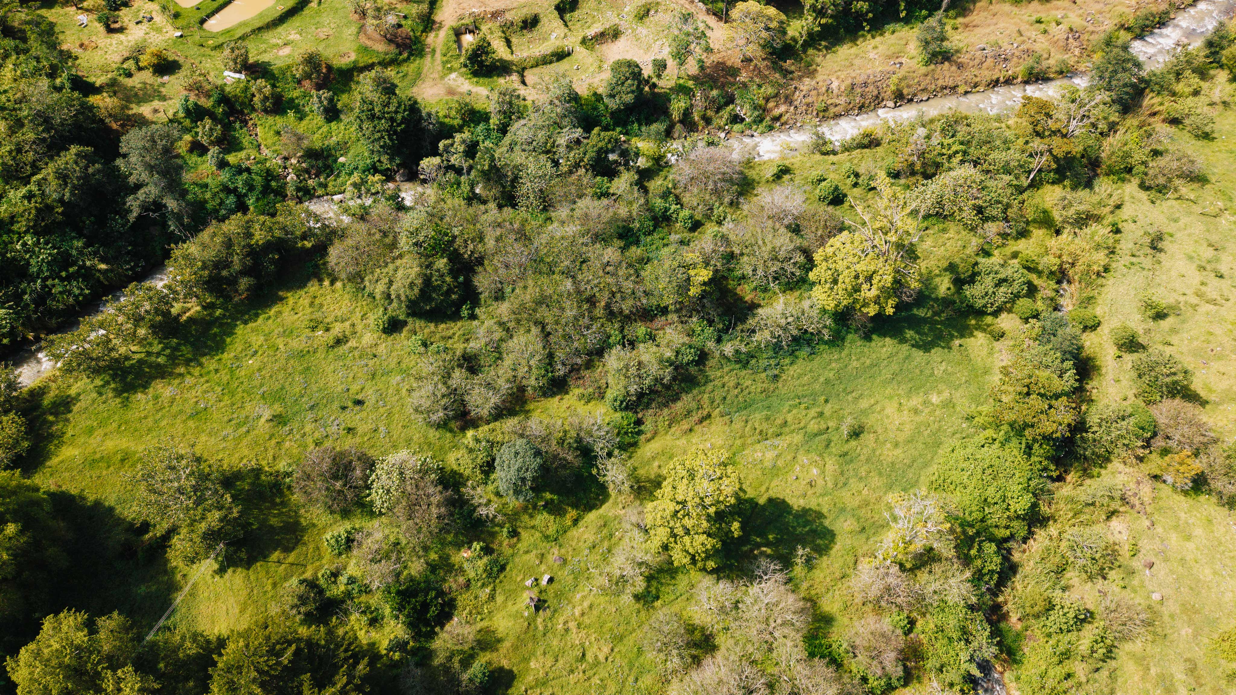 0 bed Land For Sale in Dota, San Jose - thumb 7