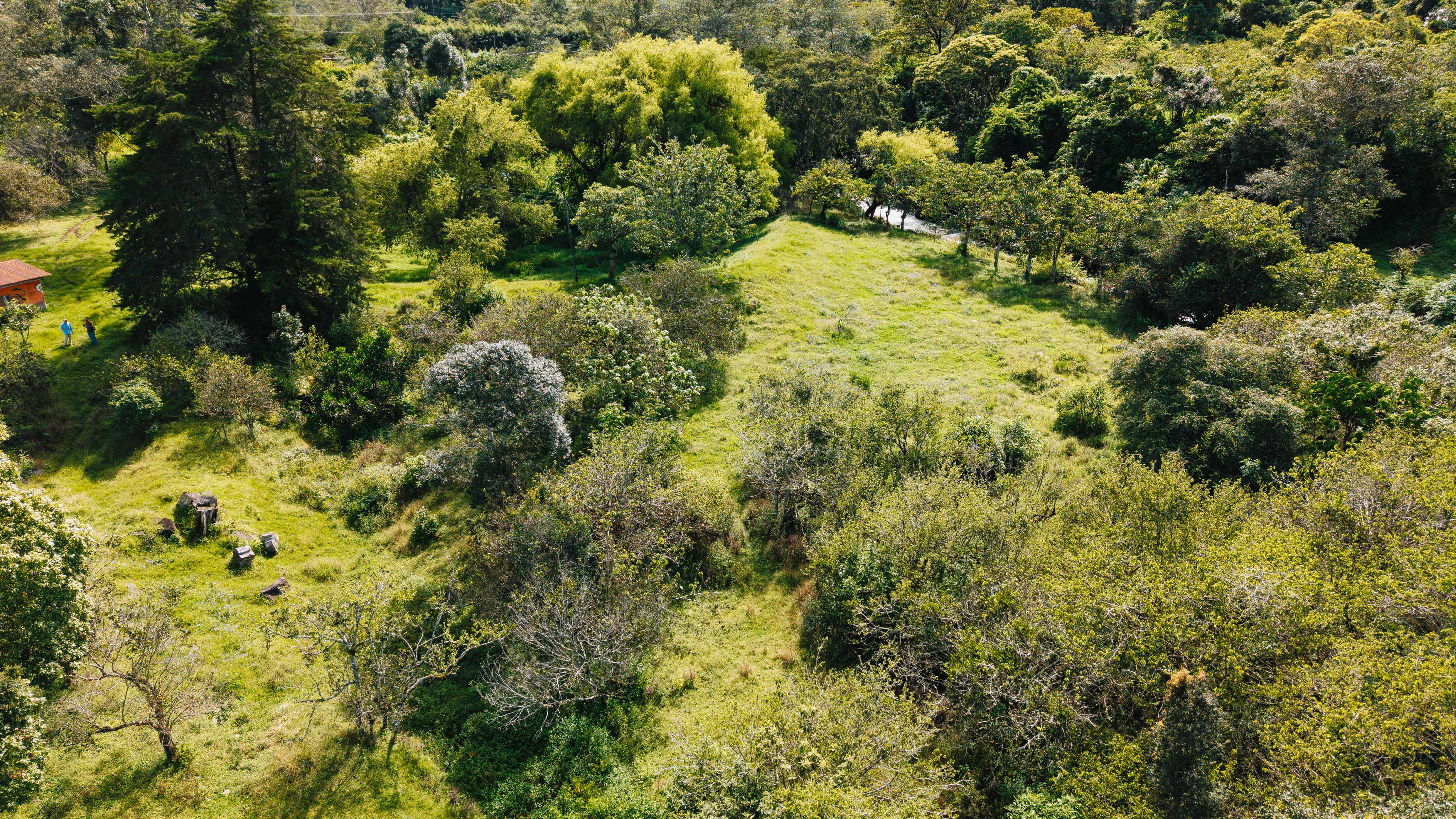 0 bed Land For Sale in Dota, San Jose - thumb 11