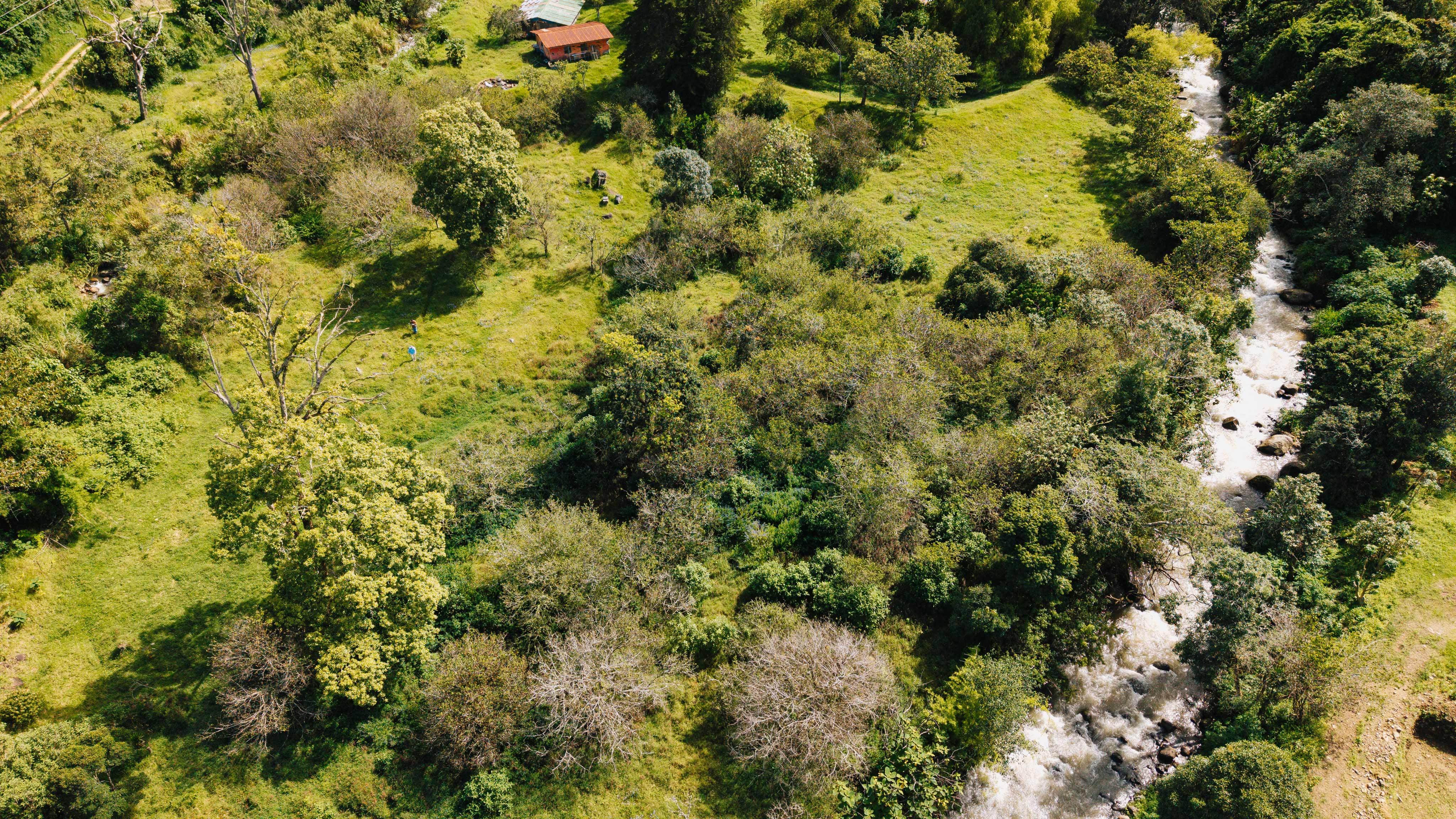 0 bed Land For Sale in Dota, San Jose - thumb 26