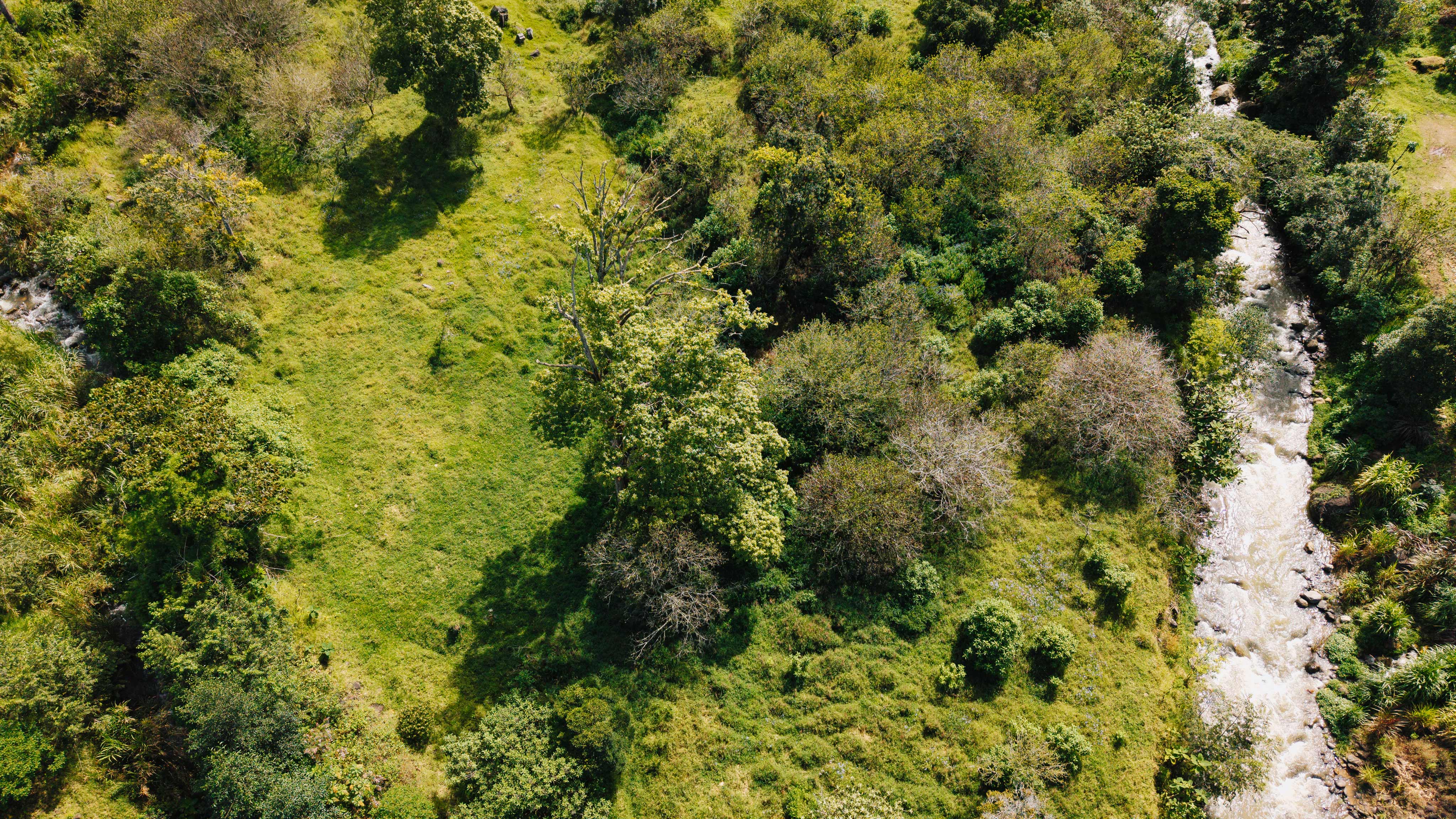 0 bed Land For Sale in Dota, San Jose - thumb 22