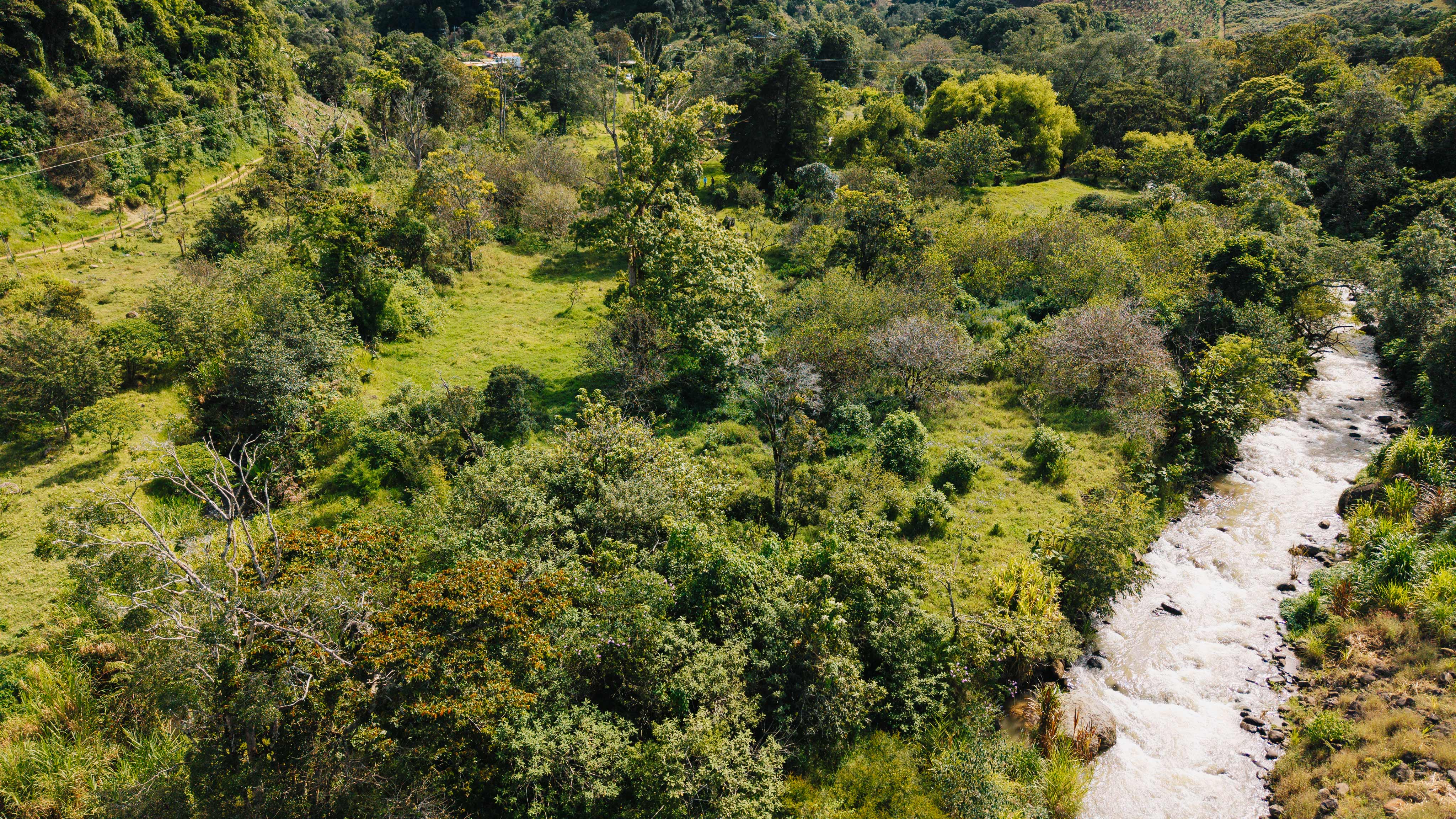 0 bed Land For Sale in Dota, San Jose - thumb 14