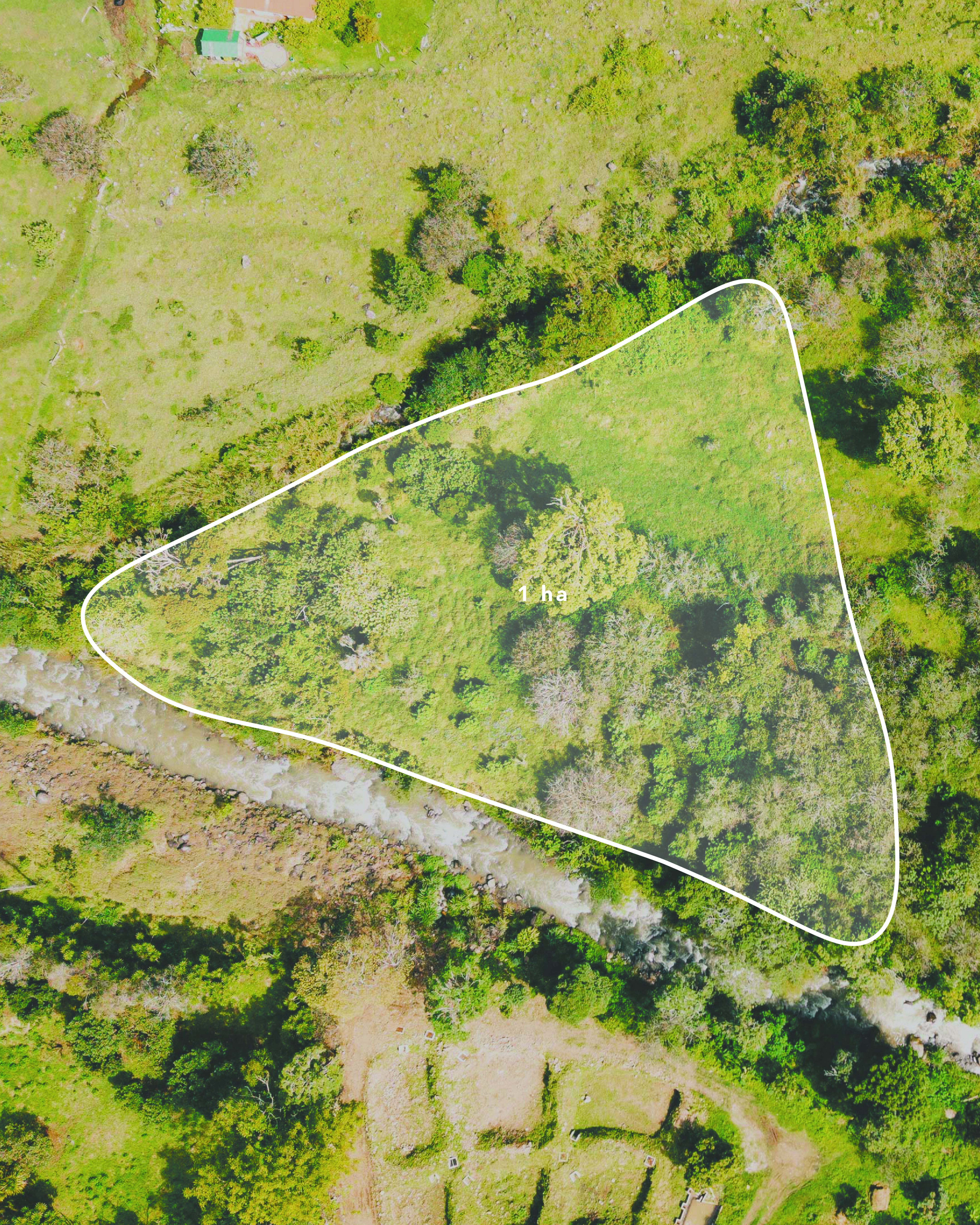 0 bed Land For Sale in Dota, San Jose - thumb 1