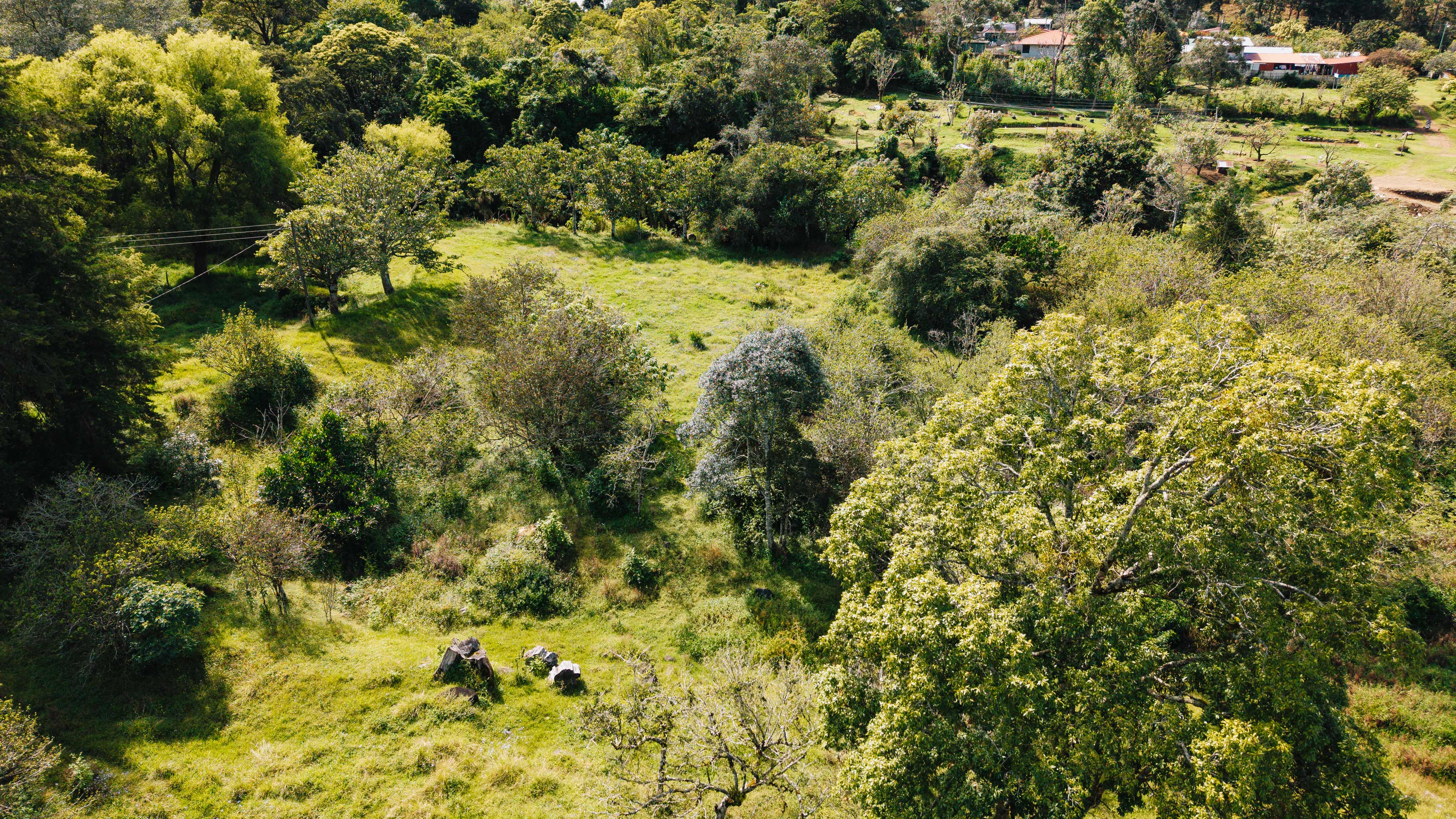 0 bed Land For Sale in Dota, San Jose - thumb 10