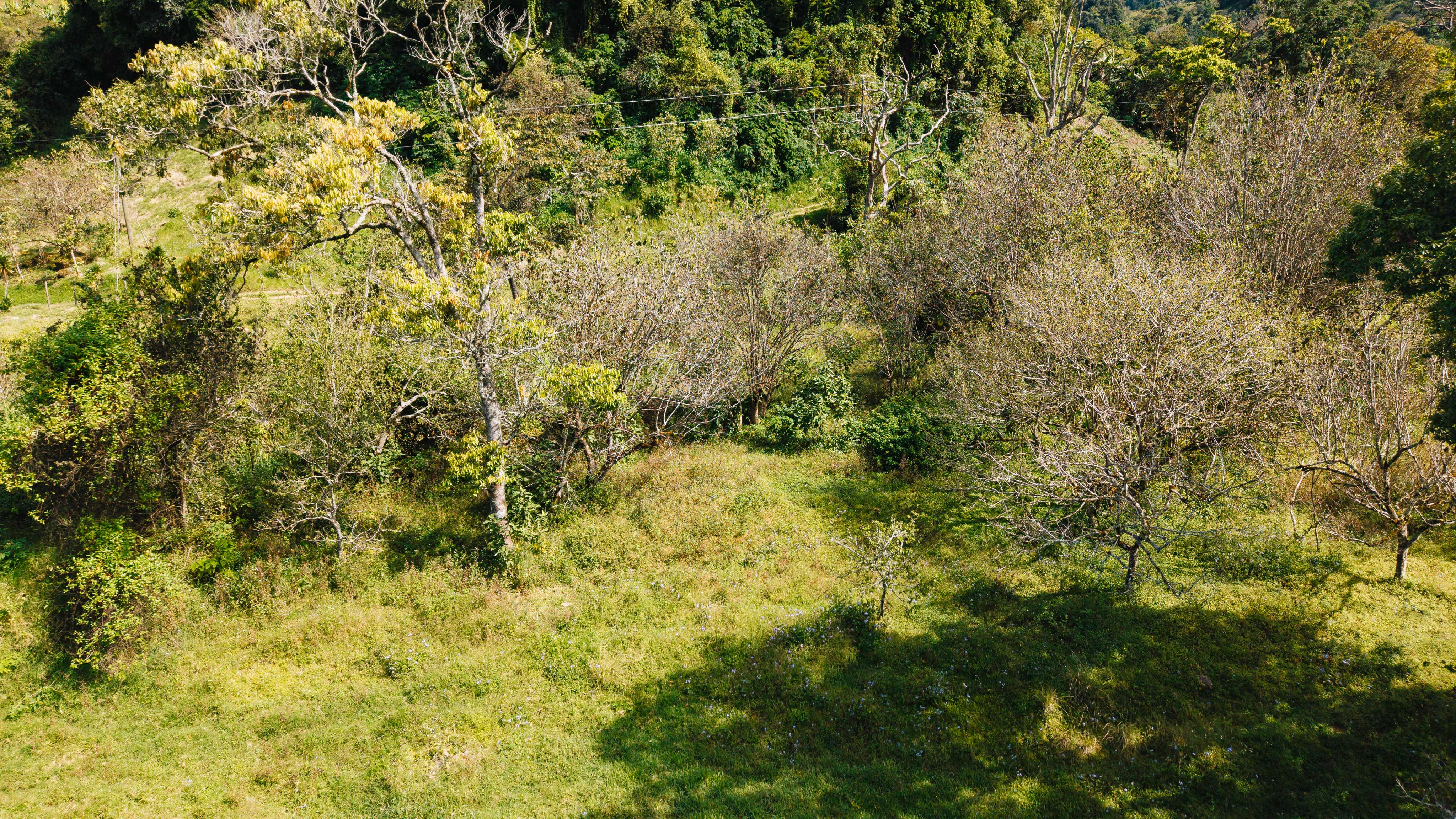 0 bed Land For Sale in Dota, San Jose - thumb 28