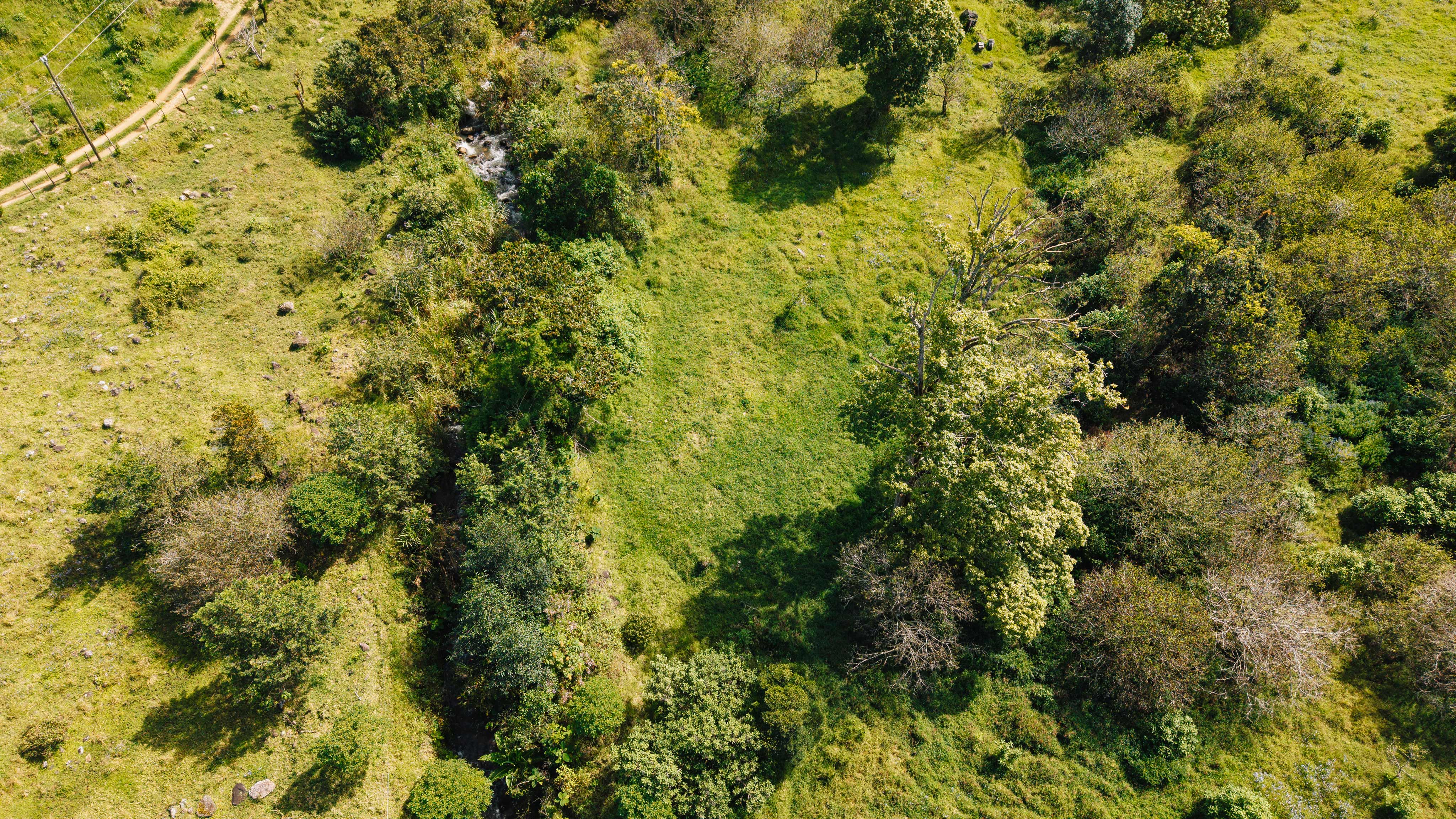 0 bed Land For Sale in Dota, San Jose - thumb 23