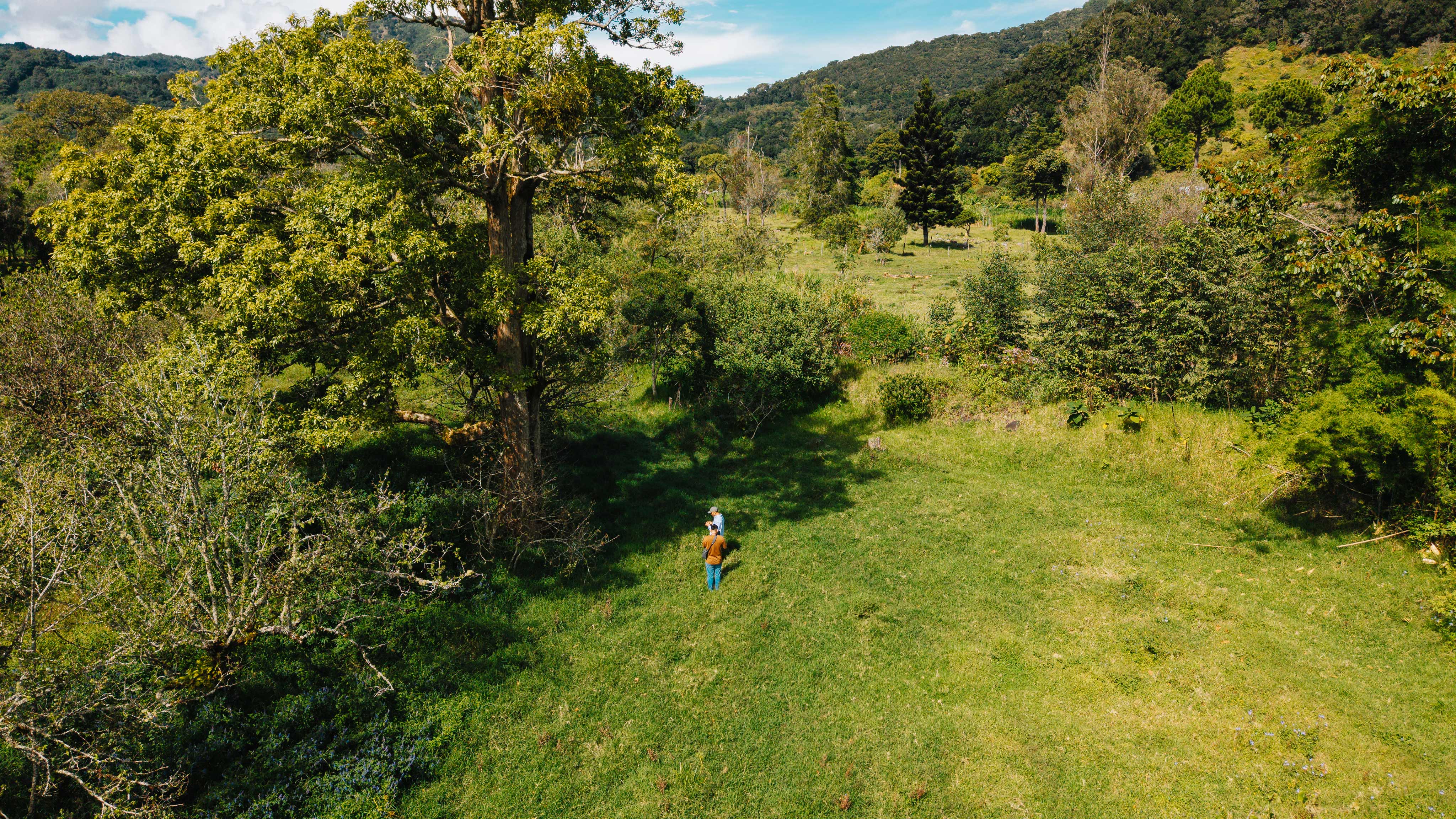 0 bed Land For Sale in Dota, San Jose - thumb 29