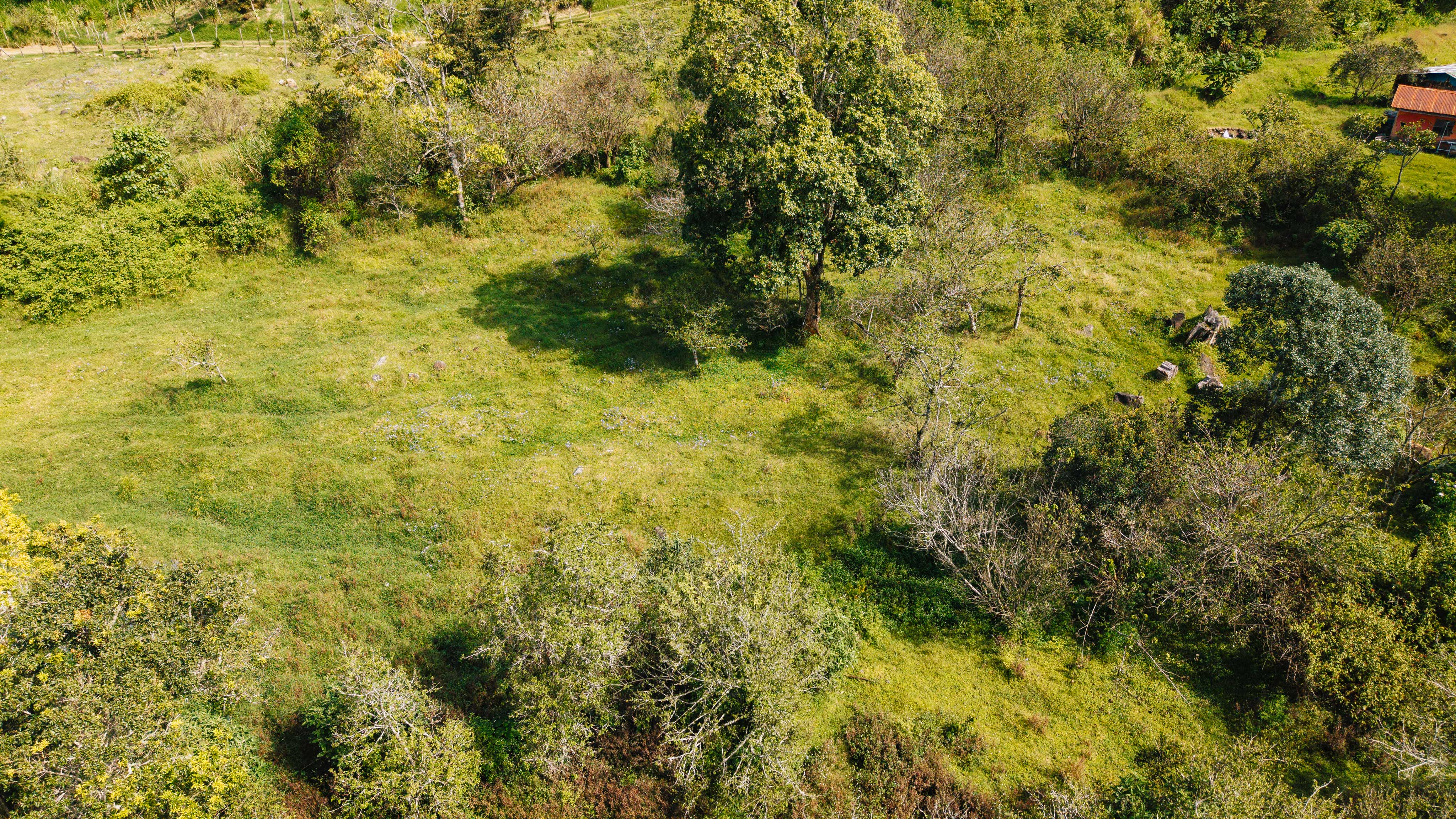 0 bed Land For Sale in Dota, San Jose - thumb 12