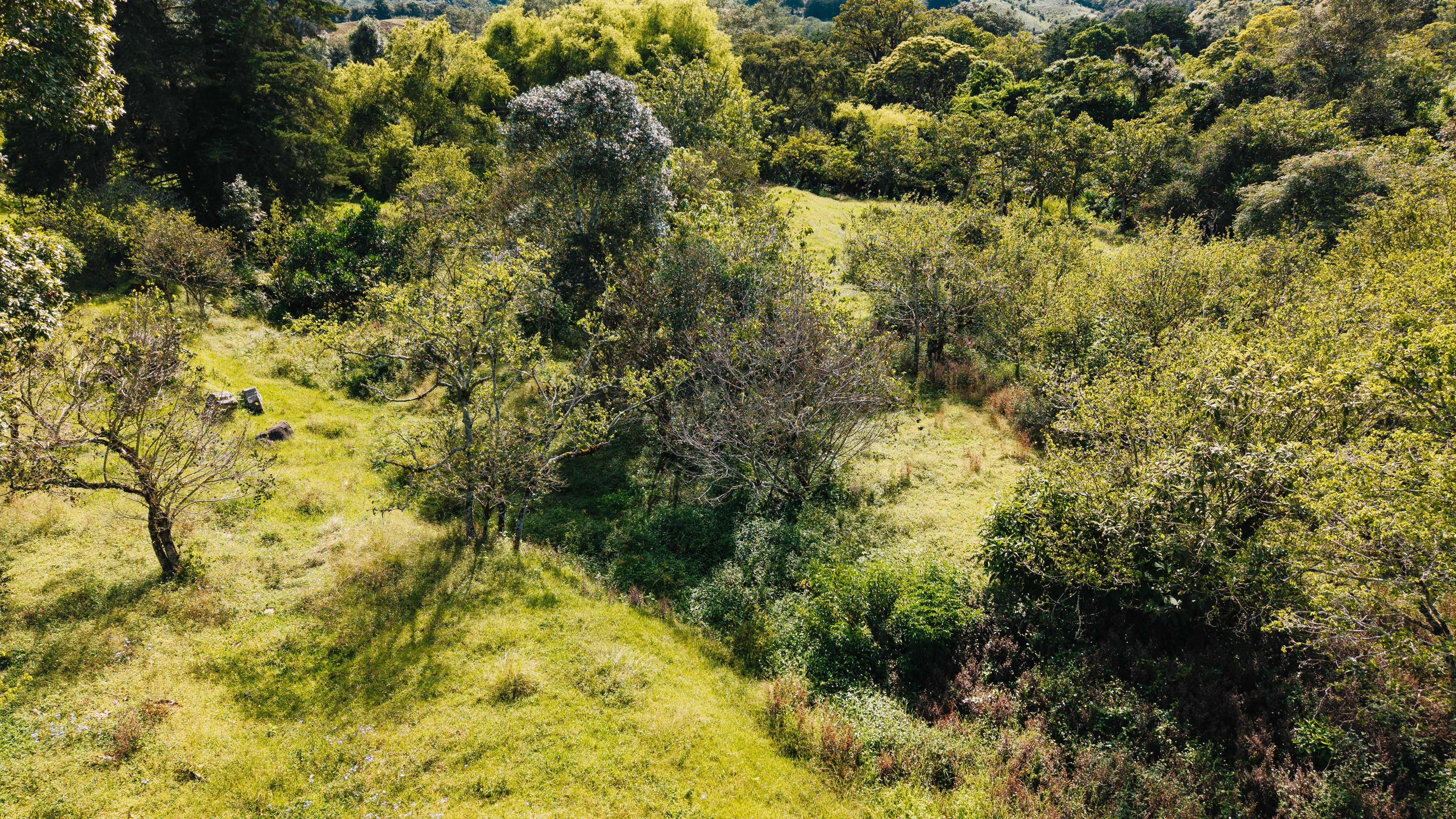 0 bed Land For Sale in Dota, San Jose - thumb 30