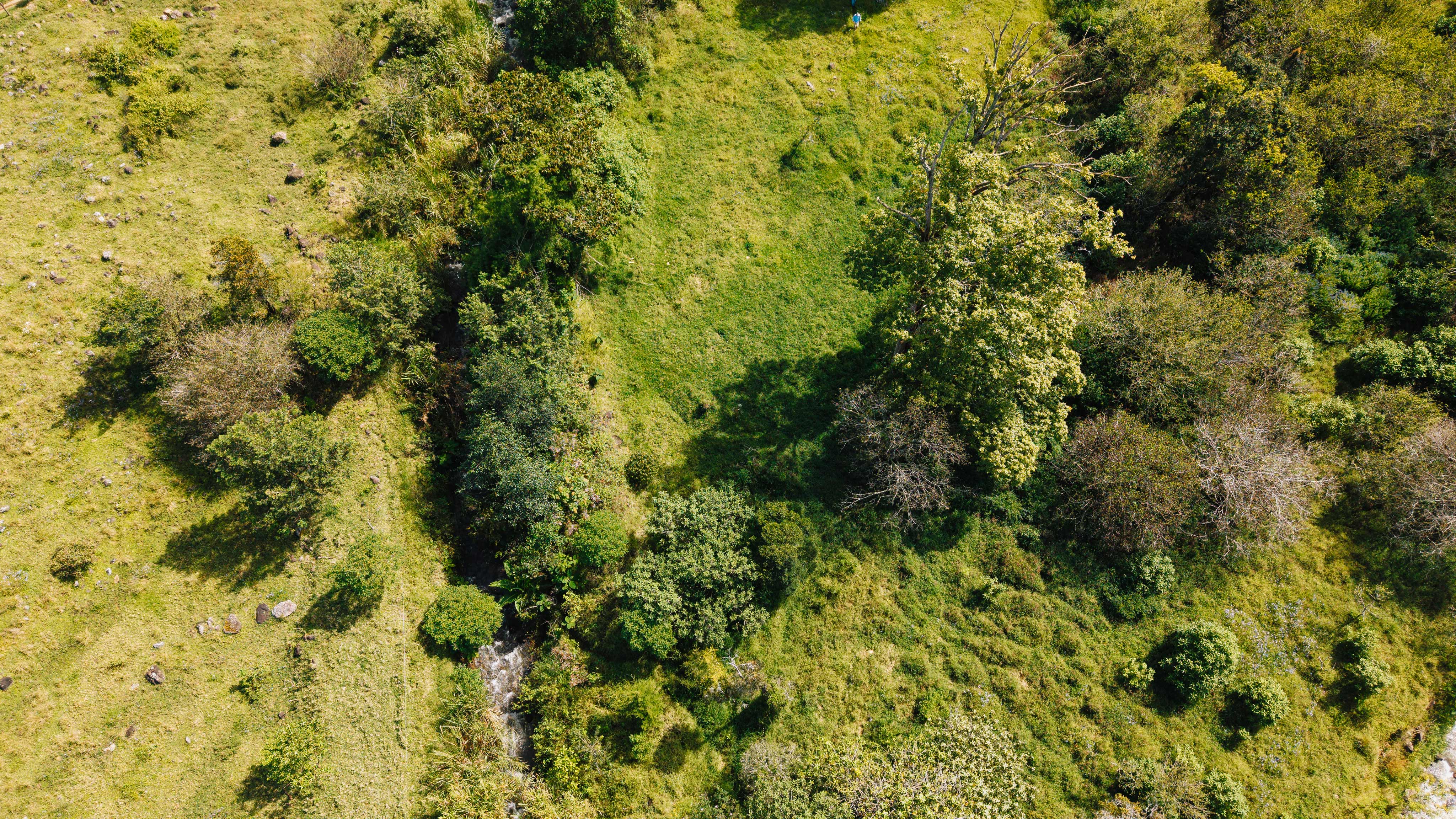 0 bed Land For Sale in Dota, San Jose - thumb 25