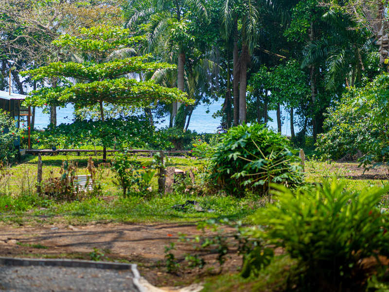3 bed Single Family Homes For Rent in Uvita, Puntarenas - hero 5