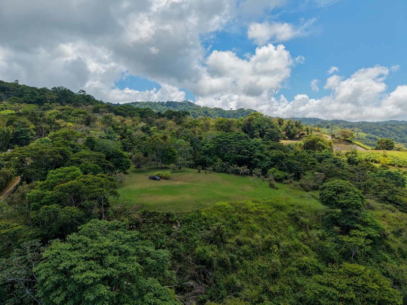 0 bed Land For Sale in Tinamastes, San Jose - hero 16