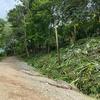  - Fire Sale Commercial Roadfront Lot - 3,525 m² on the Cabuya-Mal País Road
