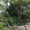  - FIRE SALE Prime Commercial Lot on the Cabuya-Mal País Road - 3,499 m²