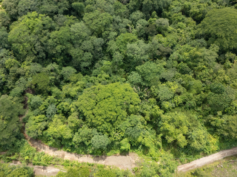 0 bed Land For Sale in Cabuya, Puntarenas - 1
