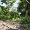  - FIRE SALE Prime Commercial Lot on the Cabuya-Mal País Road - 3,499 m²