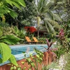  - Tropical Investment Estate with 9 Units and Pools Minutes from Tamarindo