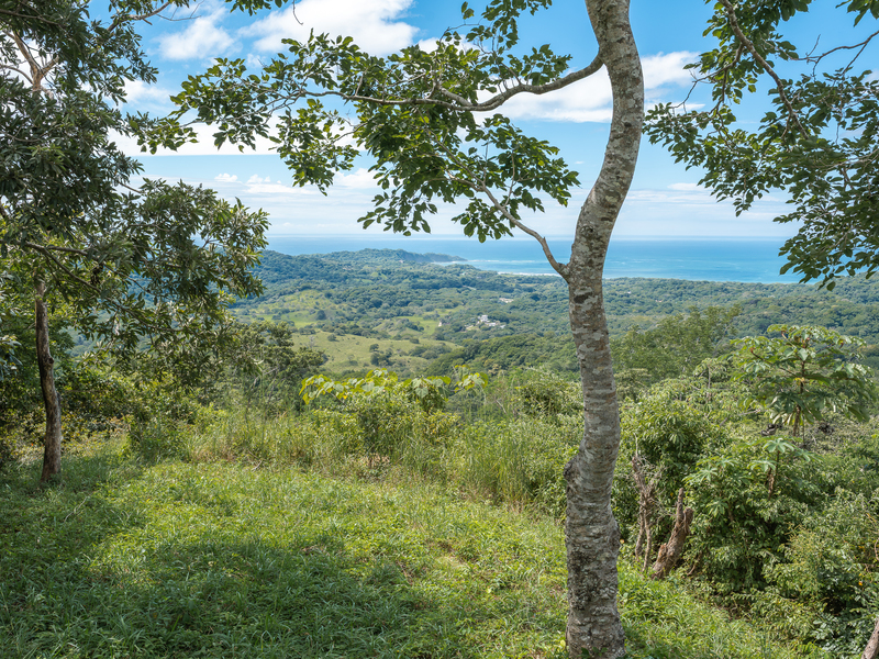 0 bed Land For Sale in Nosara, Guanacaste - 1