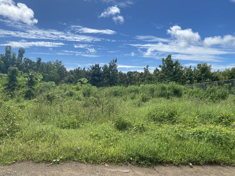 0 bed Land For Sale in Avellanas, Guanacaste - 1