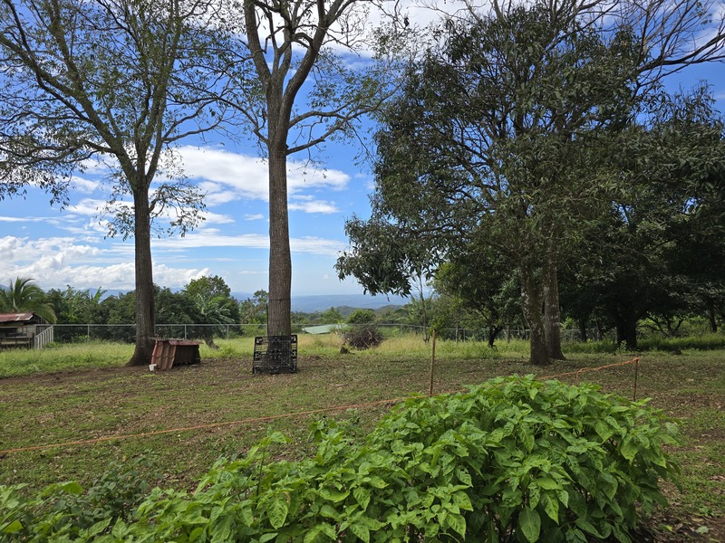 0 bed Land For Sale in Atenas, Alajuela - 1