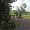  - Mountain Views, Over 1 acre flat usable land, Caracara Ridge #8