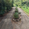  - Mountain Views, Over 1 acre flat usable land, Caracara Ridge #8