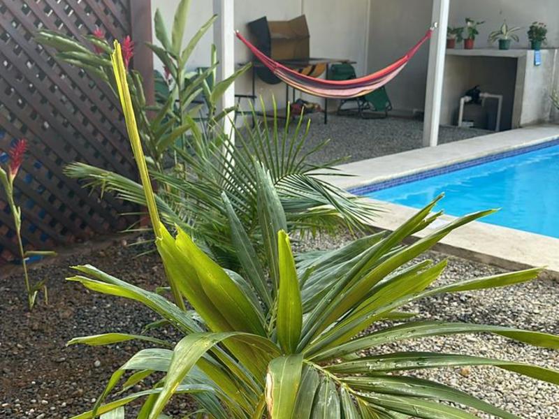 3 bed Single Family Homes For Sale in Puerto Viejo, Limón - 1