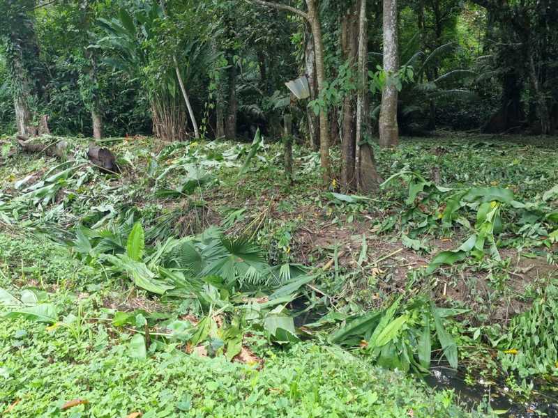 0 bed Land For Sale in Puerto Viejo, Limón - 1