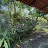  - A-Frame Costa Rica Retreat in Cabuya