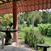  - A-Frame Costa Rica Retreat in Cabuya
