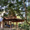  - A-Frame Costa Rica Retreat in Cabuya