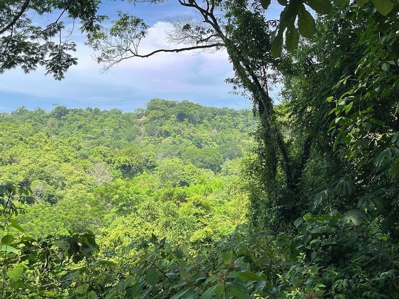 0 bed Land For Sale in Playa Hermosa Santa Teresa, Puntarenas - 1